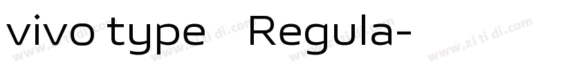 vivo type 简 Regula字体转换